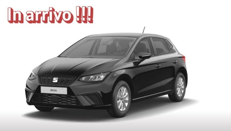 SEAT Ibiza 5ª serie